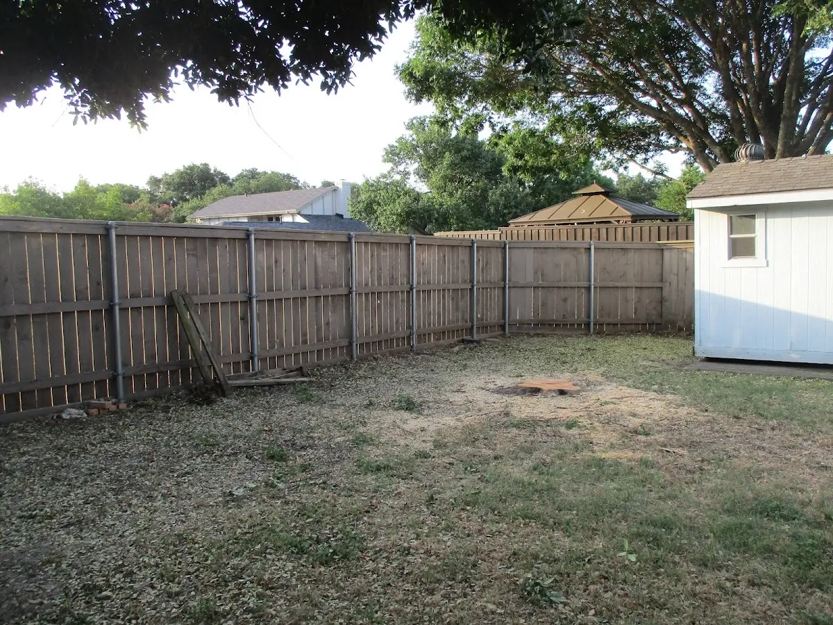 Cleared yard after professional tree removal in New Braunfels